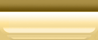 bottom bar
